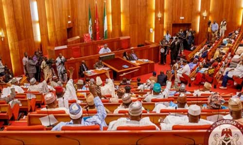 SENATE PLEDGES TO END ILLEGAL MINING IN NIGERIA