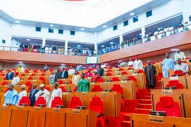 SENATE SET FOR DEBATE OVER TRUMP’S GENOCIDE CLAIMS￼