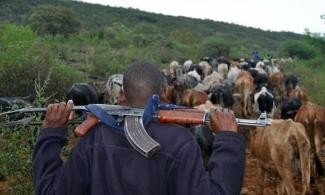POLICE PROBE ALLEGED INVASION OF TARABA COMMUNITY BY KILLER HERDERS￼