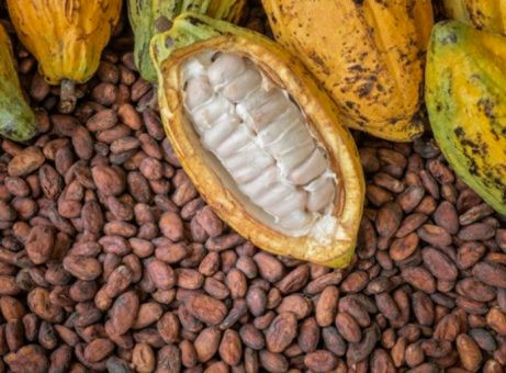 Sunbeth to Launch 70,000 MT Cocoa, 80,000 MT Cashew Processing Plants in March 2027