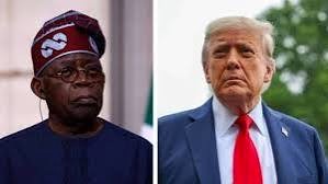 Trump hails Tinubu over anti- terror war